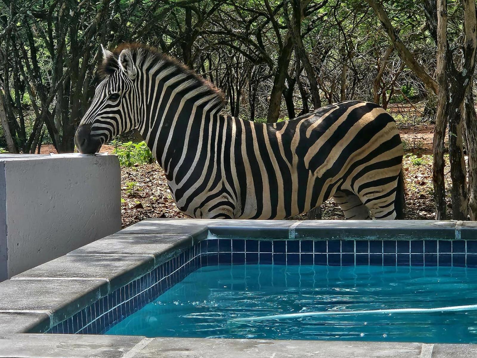 Taita Marloth Park